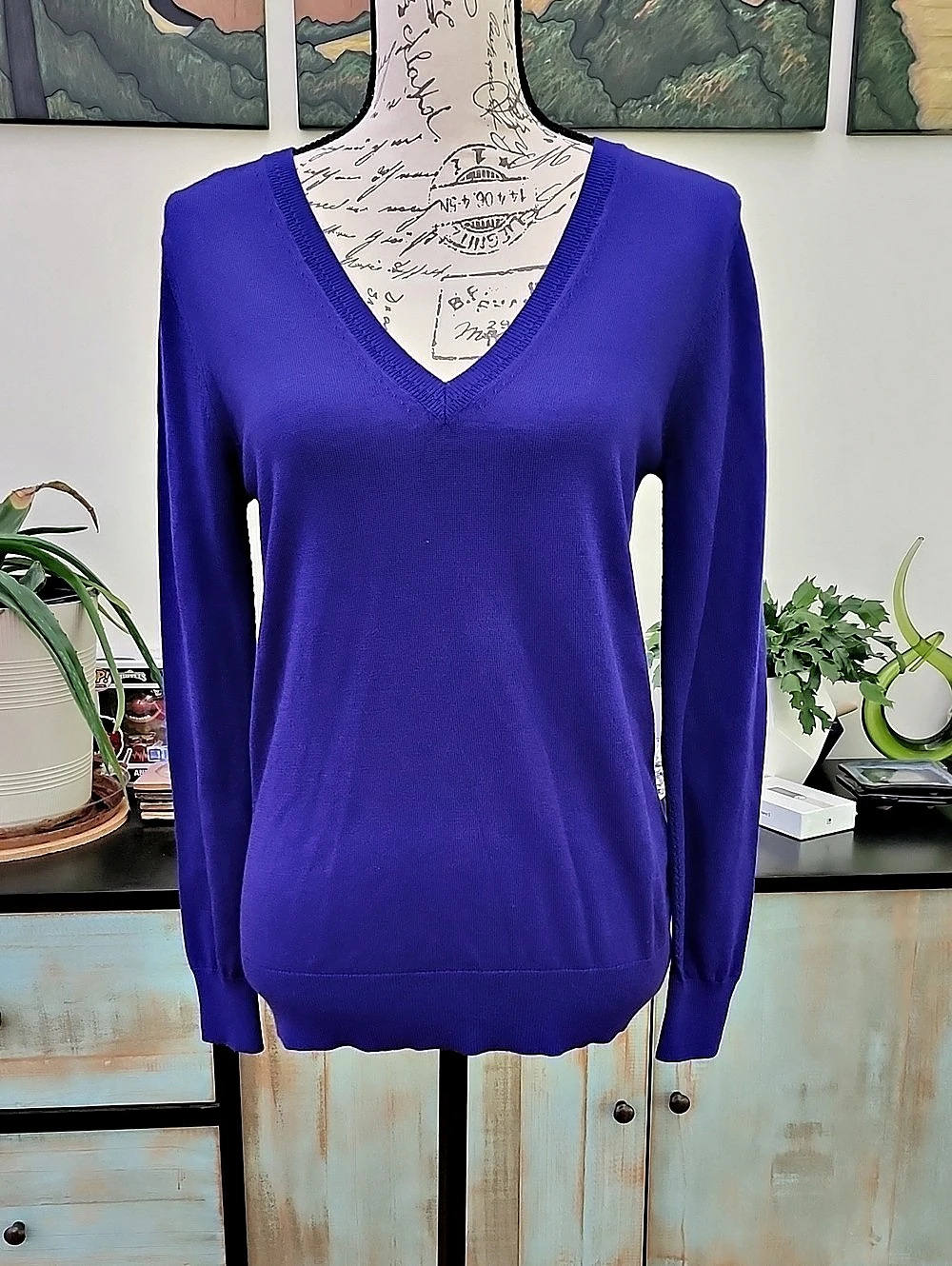 Banana Republic Merino Wool V-Neck Sweater NWT
